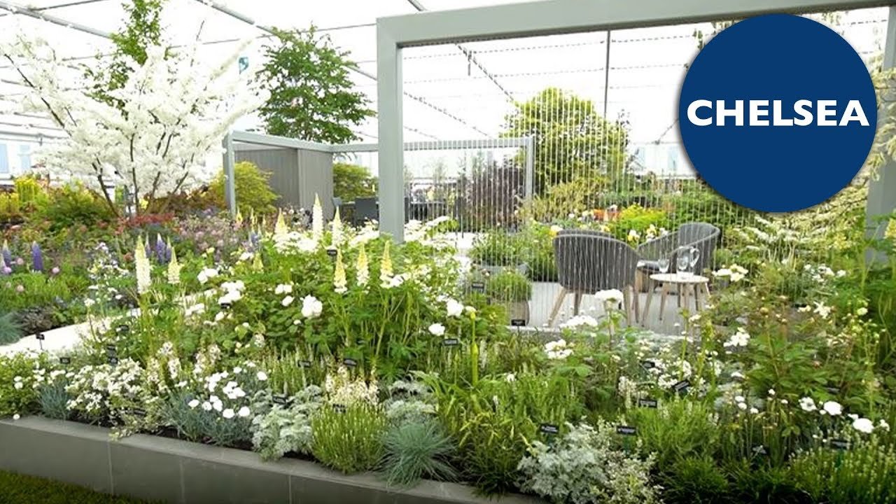 rhs chelsea flower show | hillier nurseries and garden centres