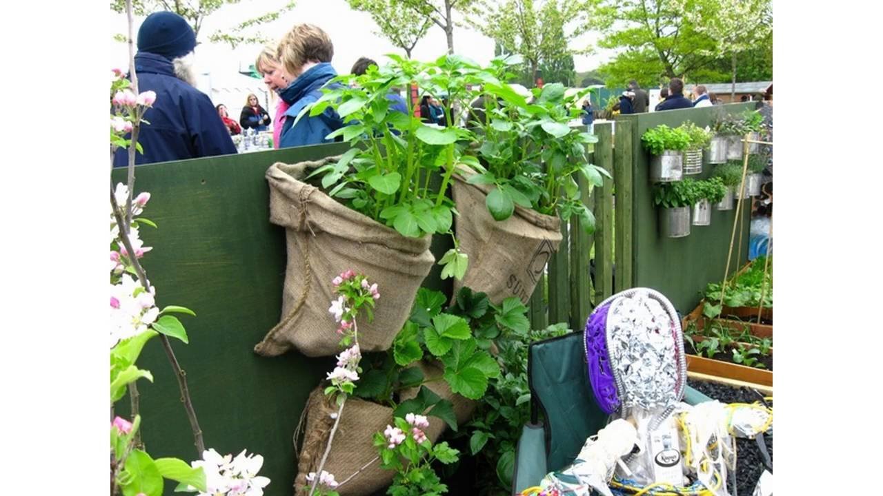 small vegetable garden ideas