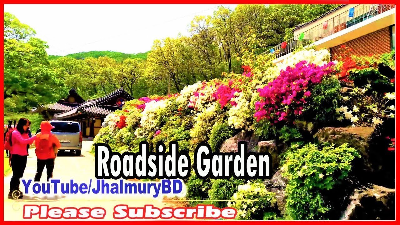beautiful roadside flowers garden in korea