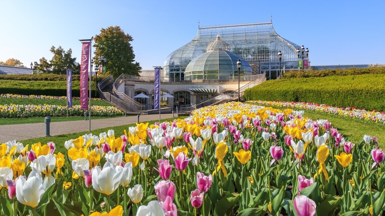 home | phipps conservatory and botanical gardens | pittsburgh pa