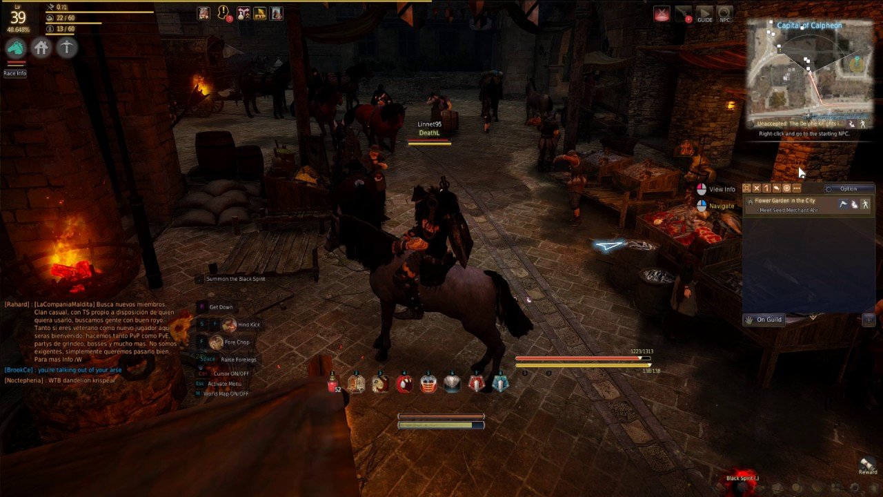 flower garden in the city quest black desert online