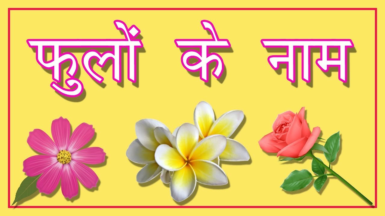फूलों के नाम | flowers name in hindi | hindi nursery videos | nursery  rhymes in hindi
