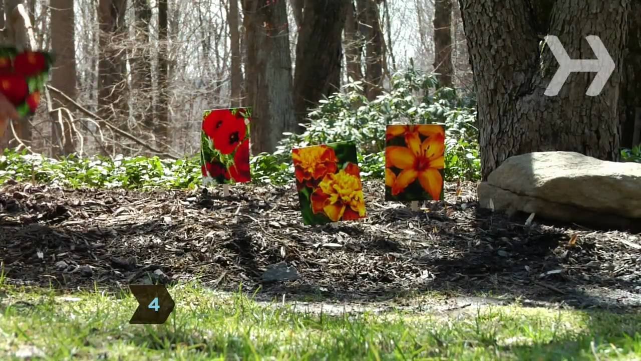 how to plant a flower garden