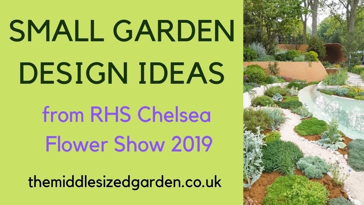 small garden design inspiration from the rhs chelsea flower show 2019