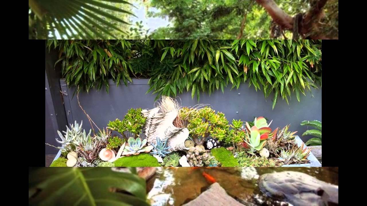 amazing small tropical garden