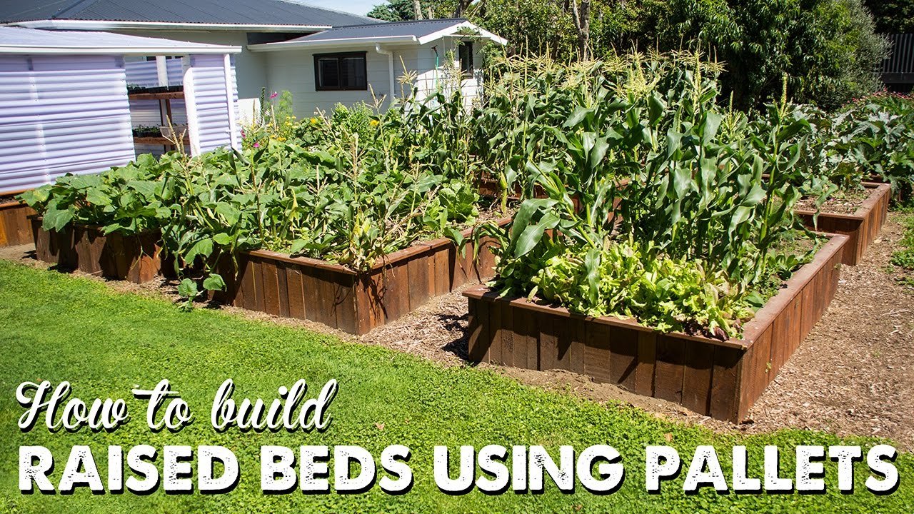how to build raised beds using pallets | a thousand words