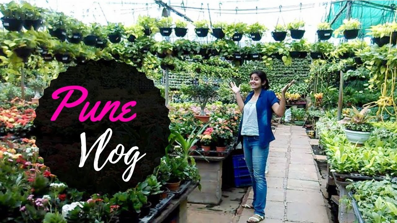 vlog: pune nursery visit + succulent plant arrangement // garden up