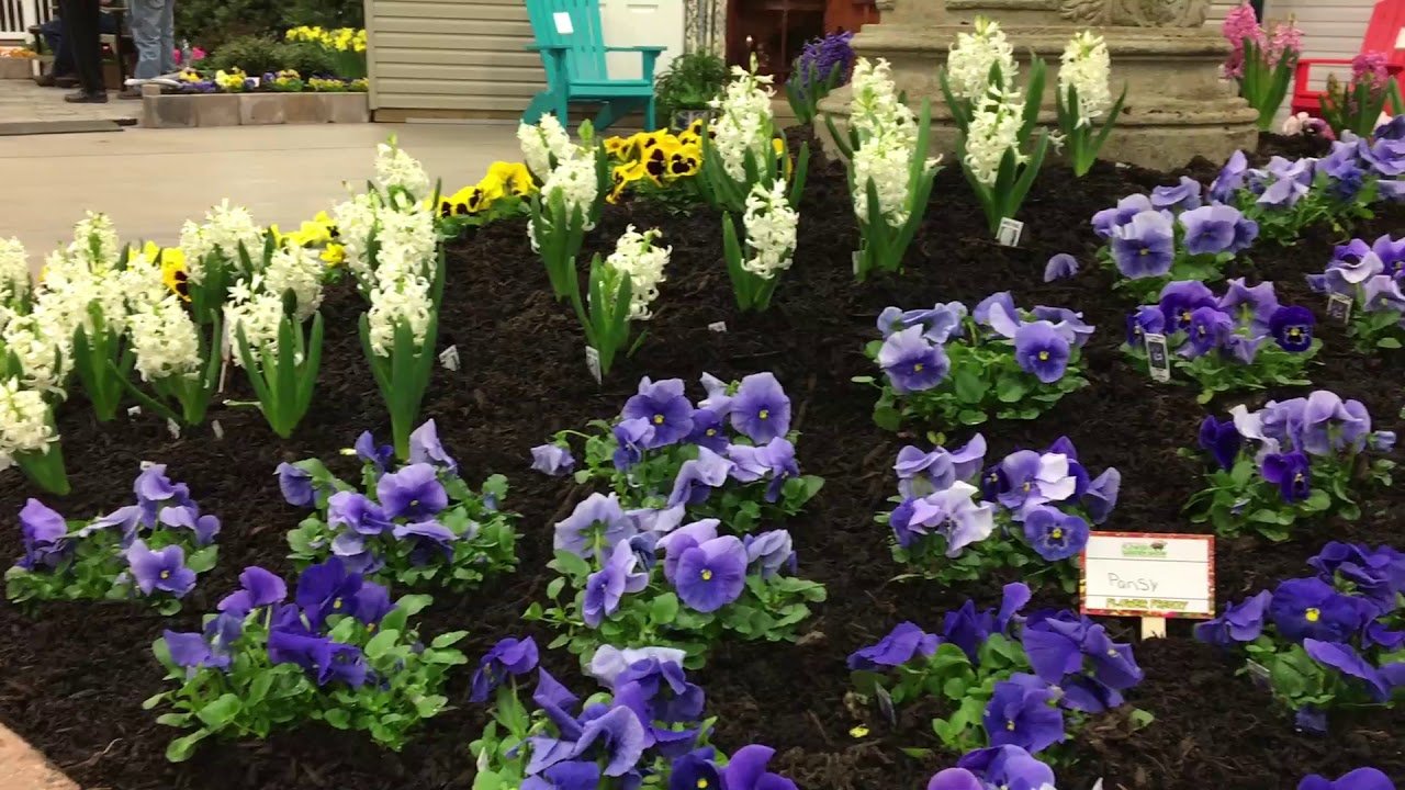 lehigh valley flower & garden show 2019 in allentown