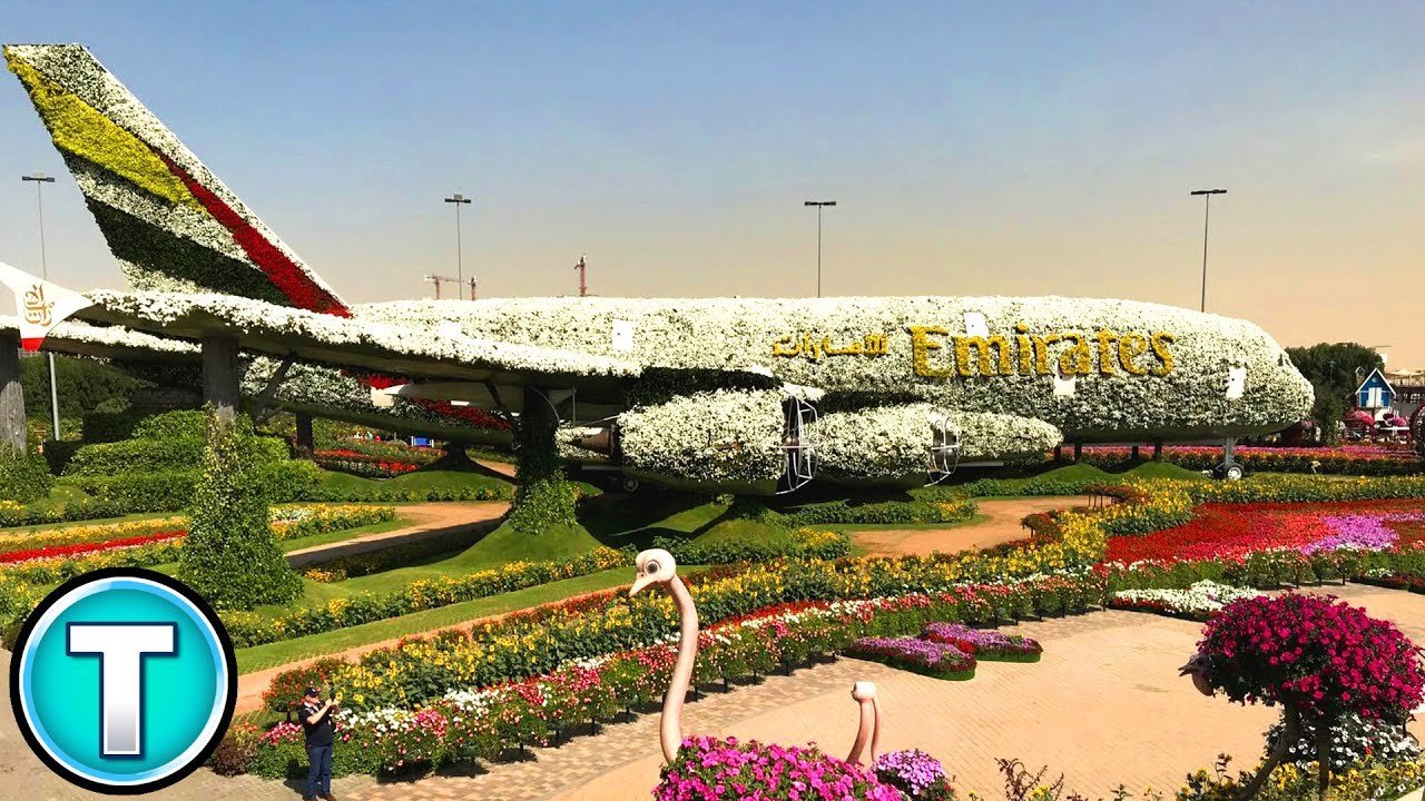 dubai's miracle garden - world's largest flower garden