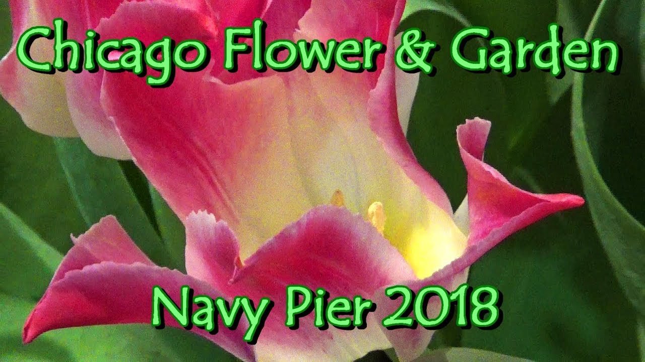 chicago flower & garden spring show ? navy pier 2018 tablescapes  competition