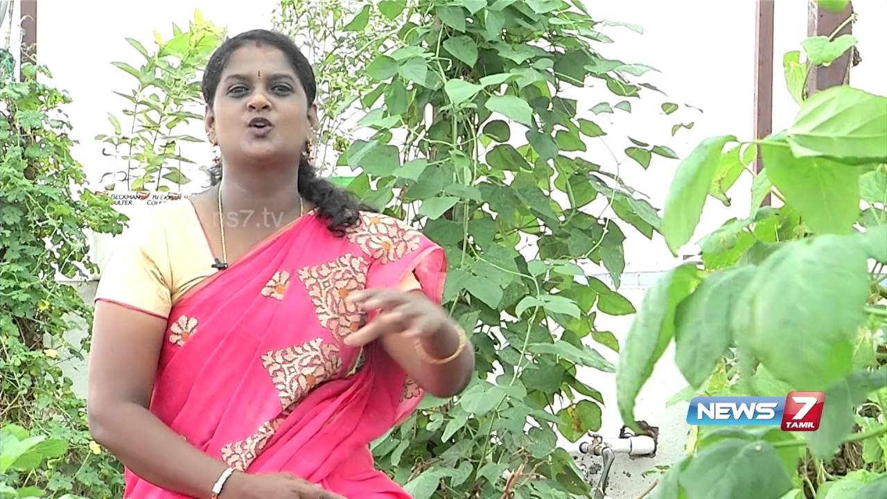 tips to setup perfect kitchen garden in your home | poovali | news7 tamil