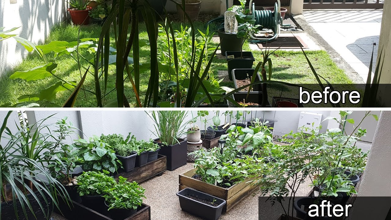 my edible garden | garden tour | small garden | malaysia - youtube