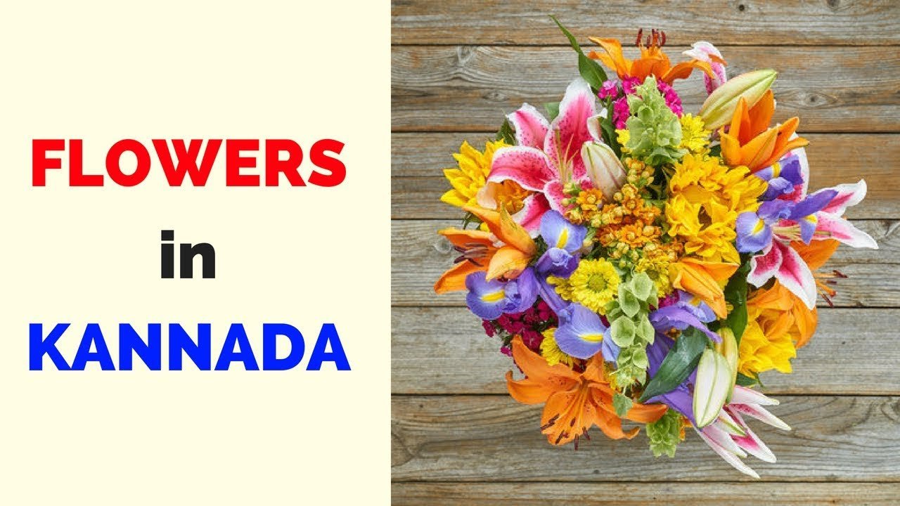 flowers in kannada - learn kannada