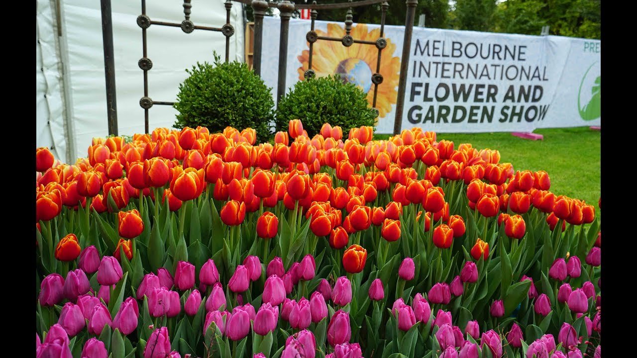 melbourne international flower and garden show | top events in melbourne