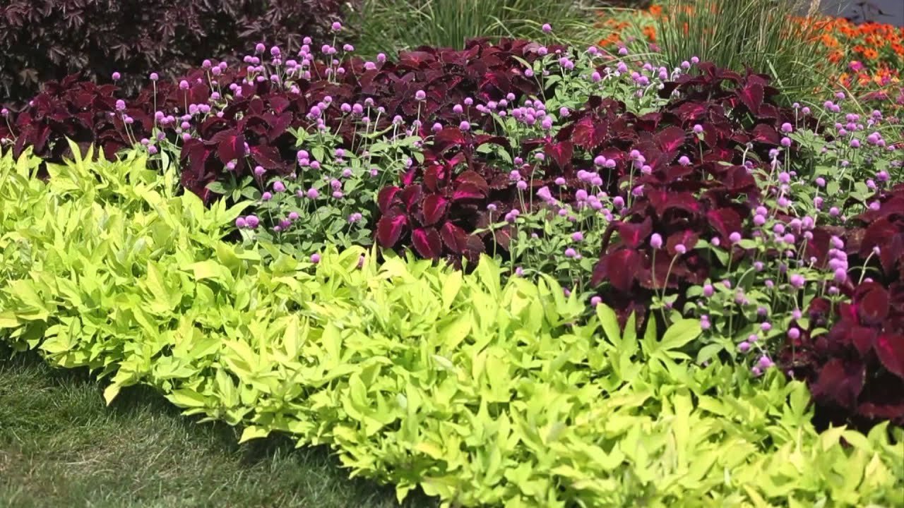 garden landscape - how to design a garden