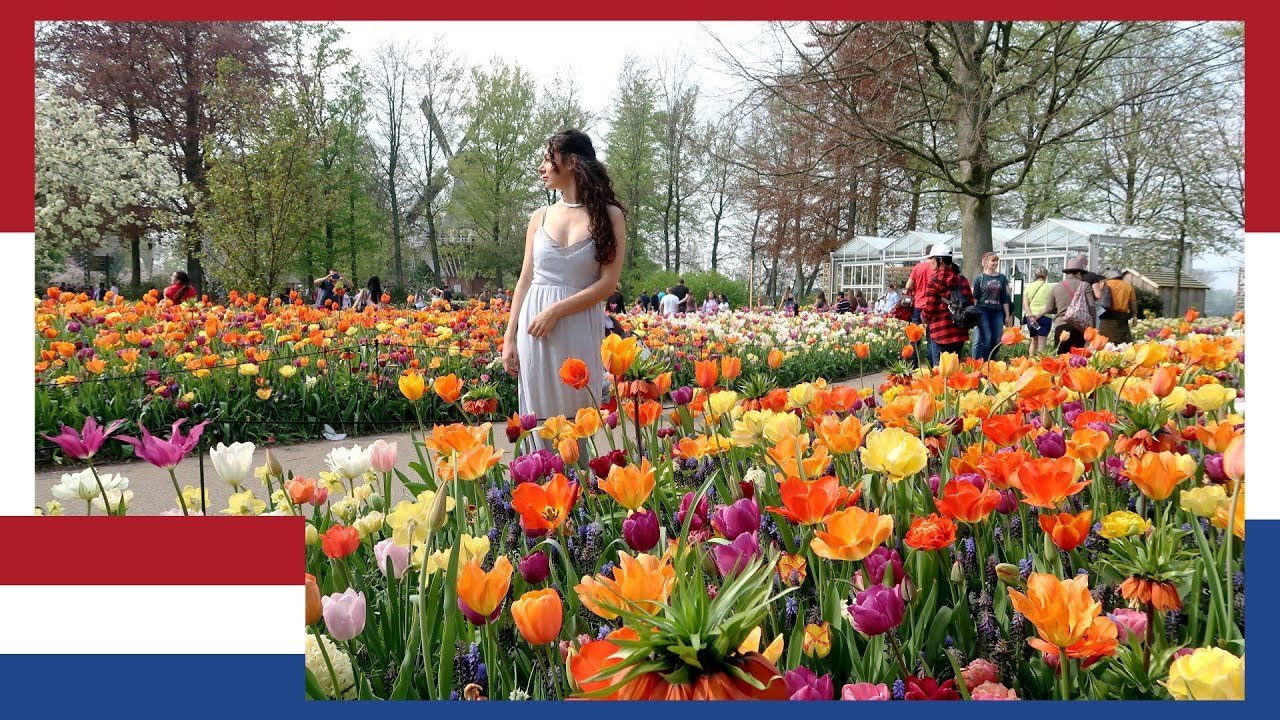 worlds biggest dutch flower gardens keukenhof netherlands: i did not expect  this | travel vlog iv