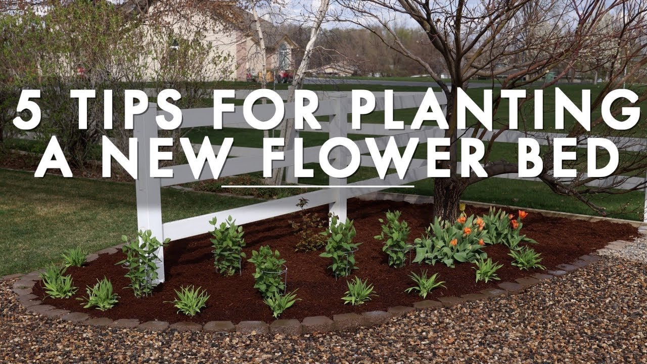 5 tips for planting a new flower bed // garden answer