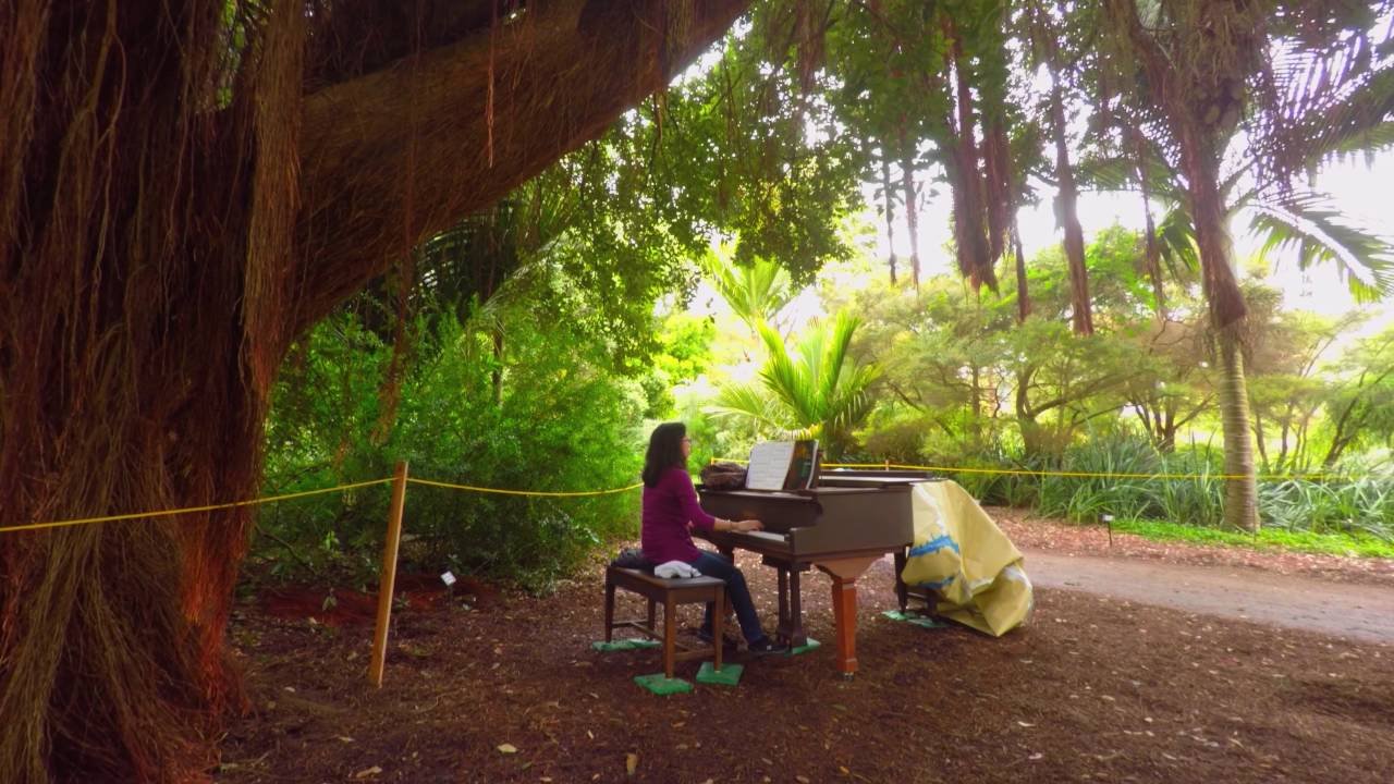 flower piano at san francisco botanical garden