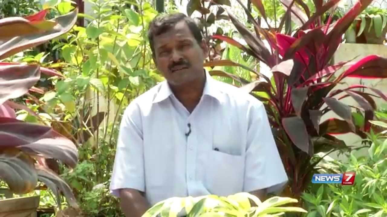 how to built your own amazing terrace garden at home | poovali | news7 tamil