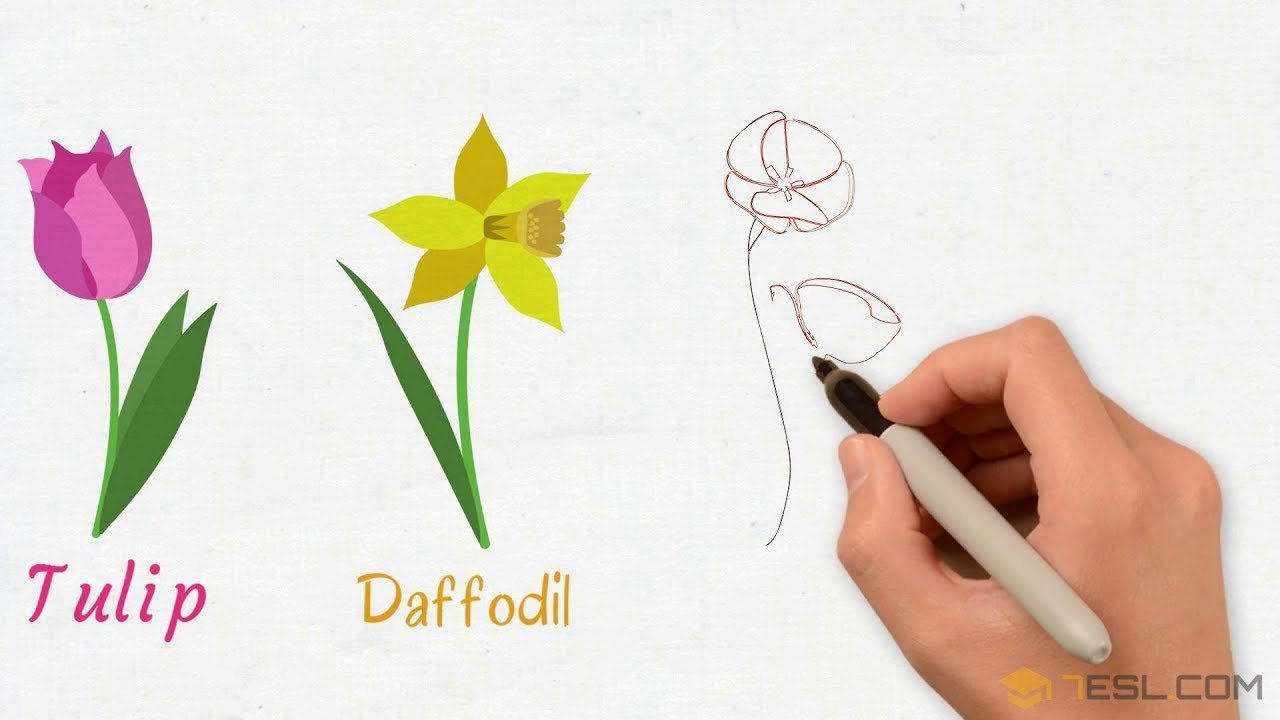 list of plant and flower names in english with pictures - 7 e s l
