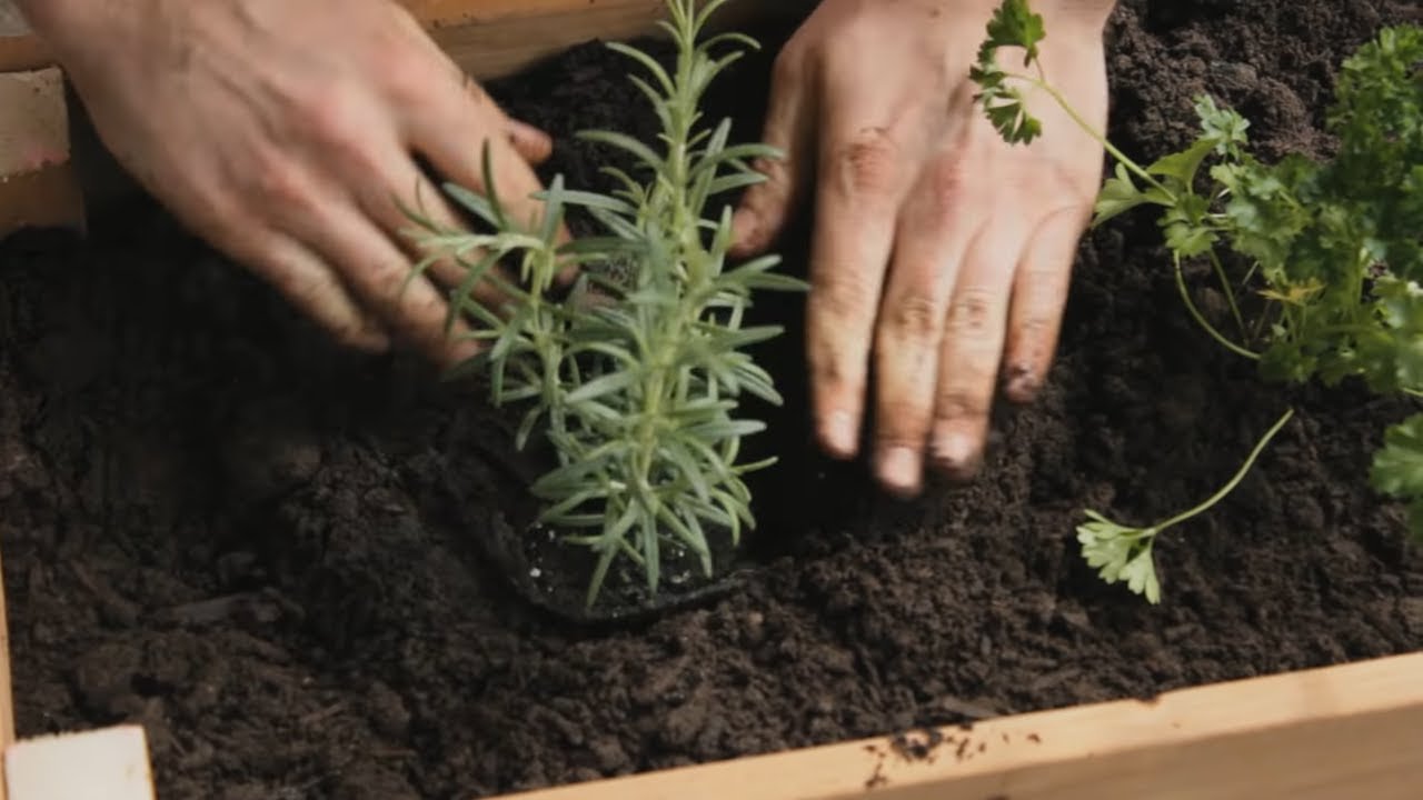 how to build a planter box