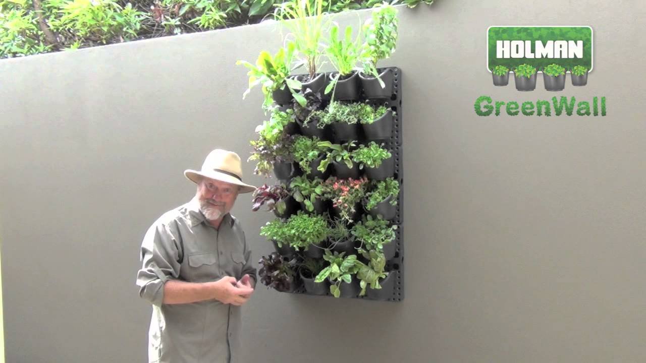 holman greenwall - creating a vertical or horizontal display