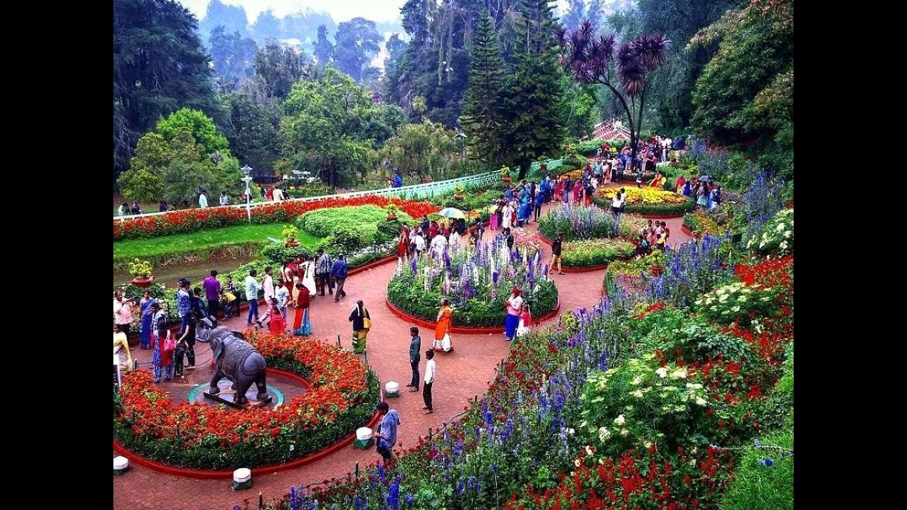 a visit to the ooty botanical garden, tamil nadu, india