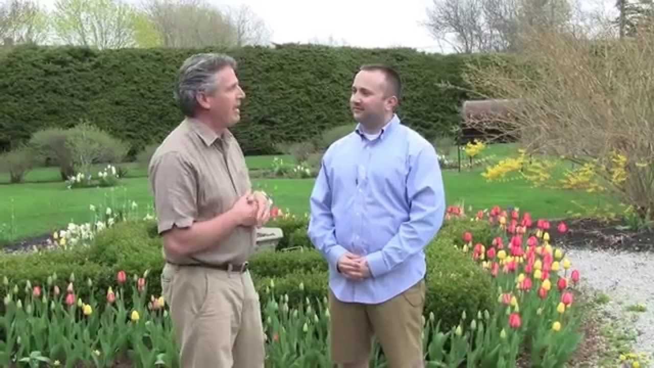 planning a flower bulb garden - tips for beginners.