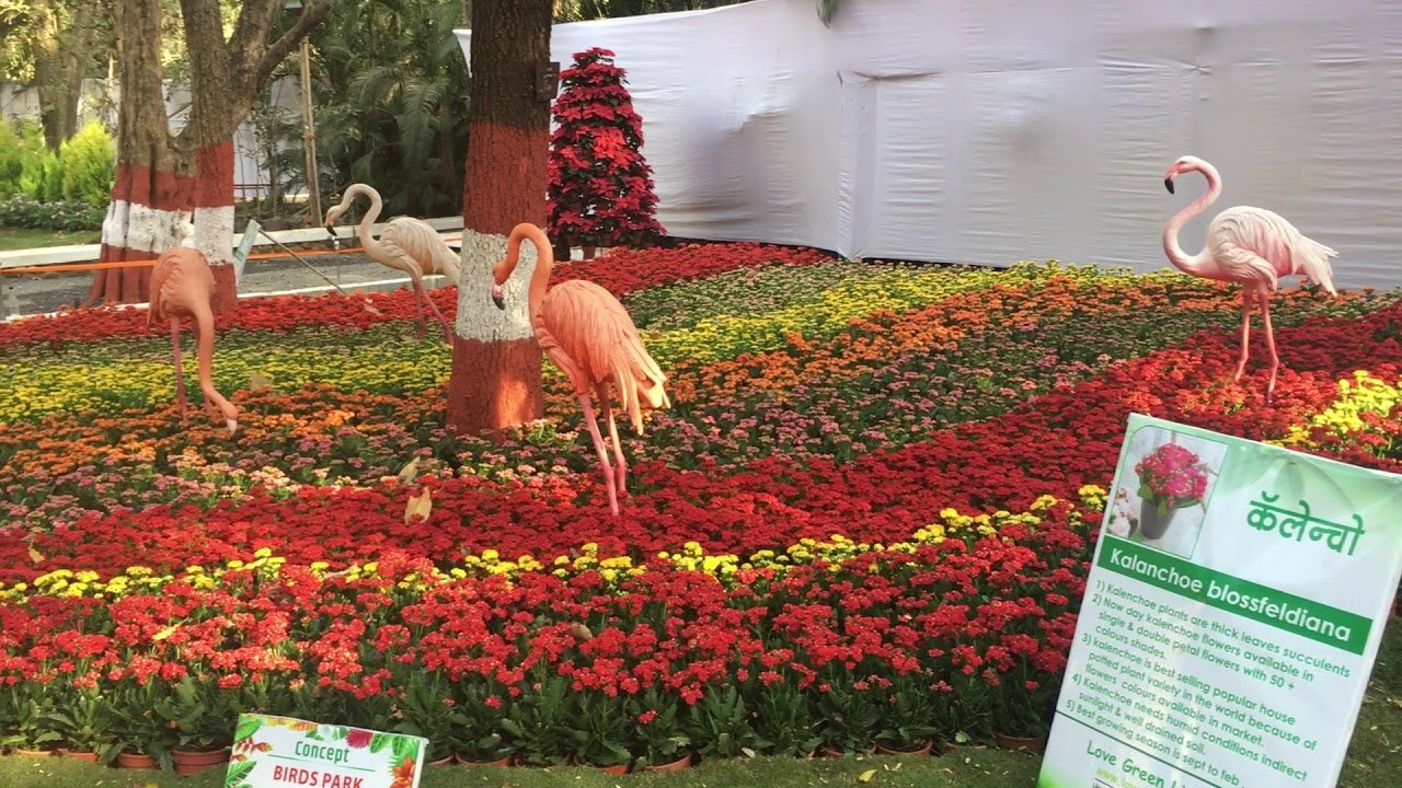 flower show at empress garden