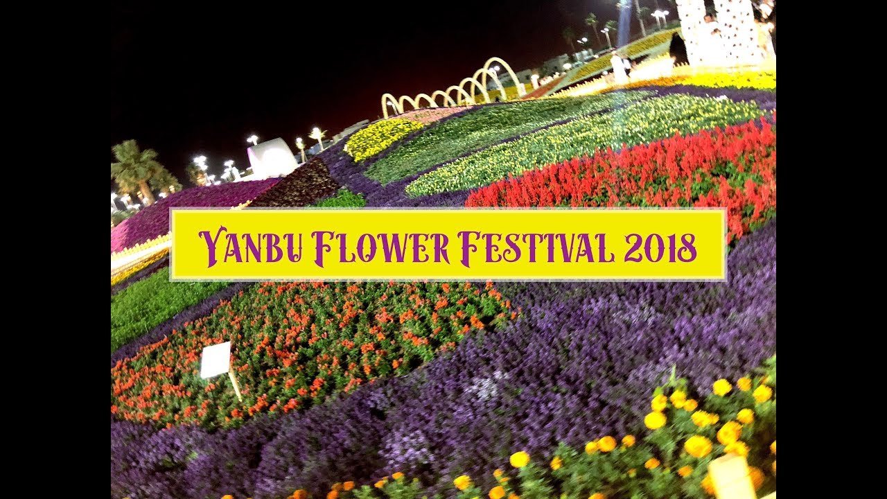 yanbu flower festival 2018