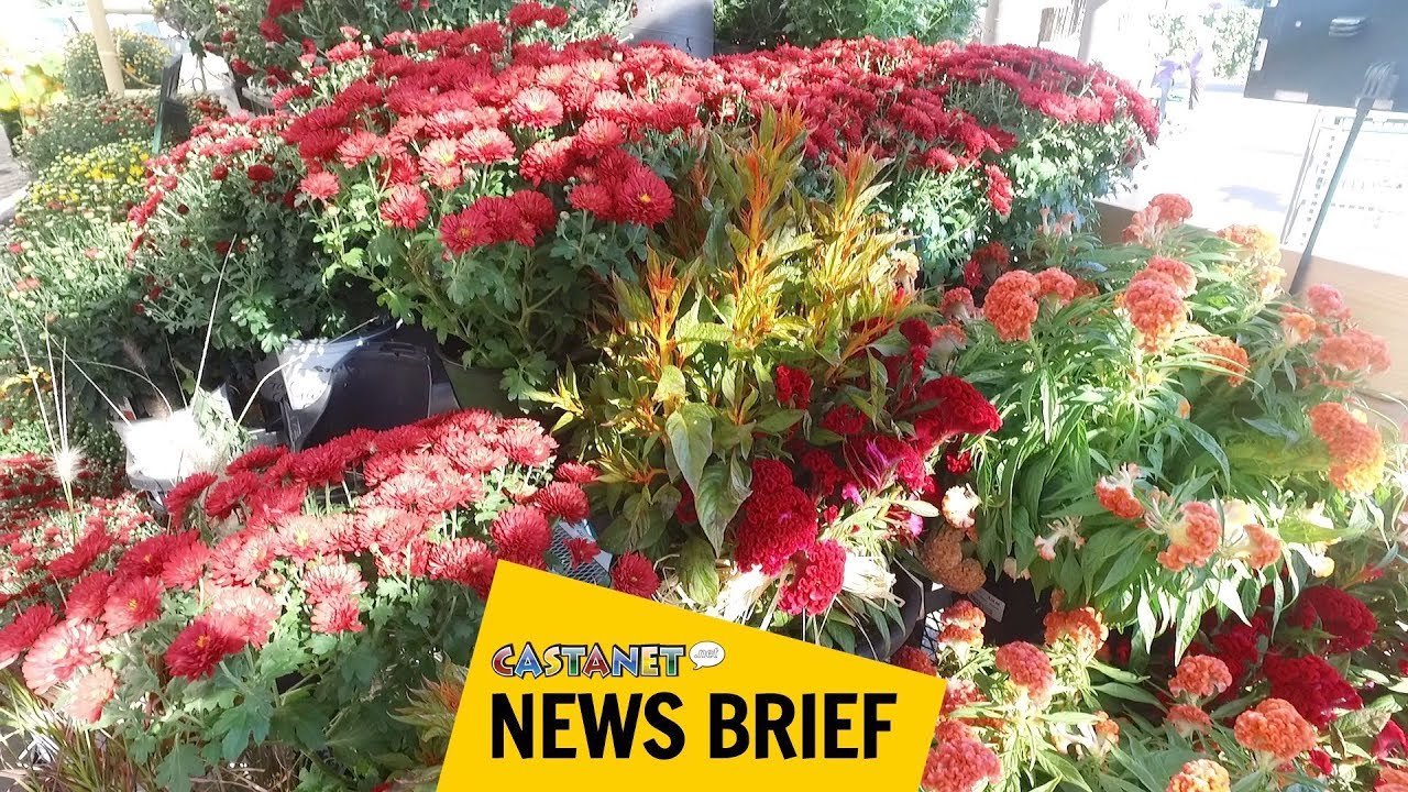 preparing your garden for winter