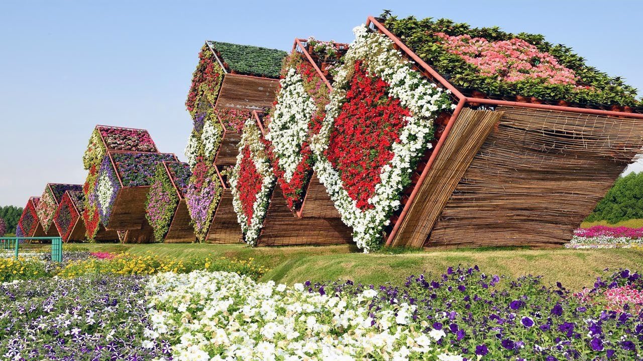 world's largest natural flower garden opens in dubai