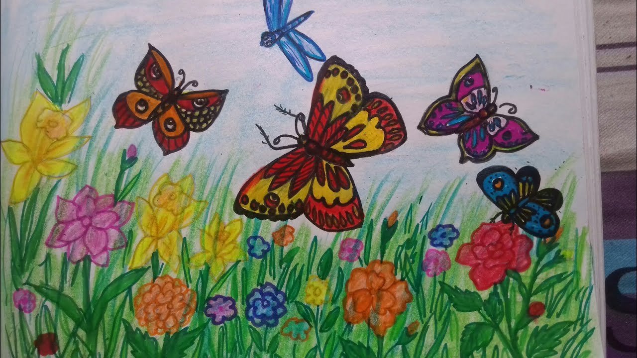 how to draw butterflies in the garden