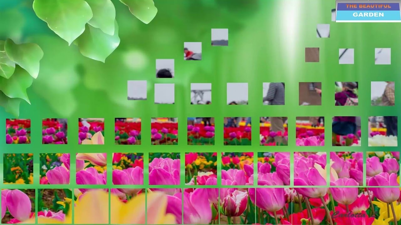 top 10 most beautiful flower gardens in japan - the beautiful garden