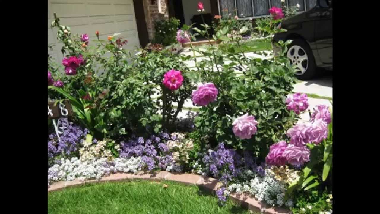 simple rose garden design decorations