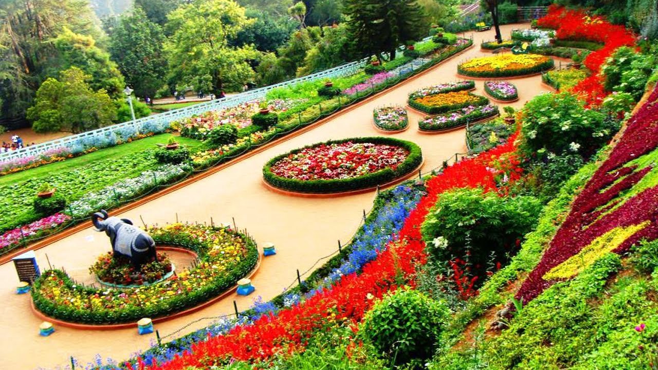 india's largest rose garden | travels next