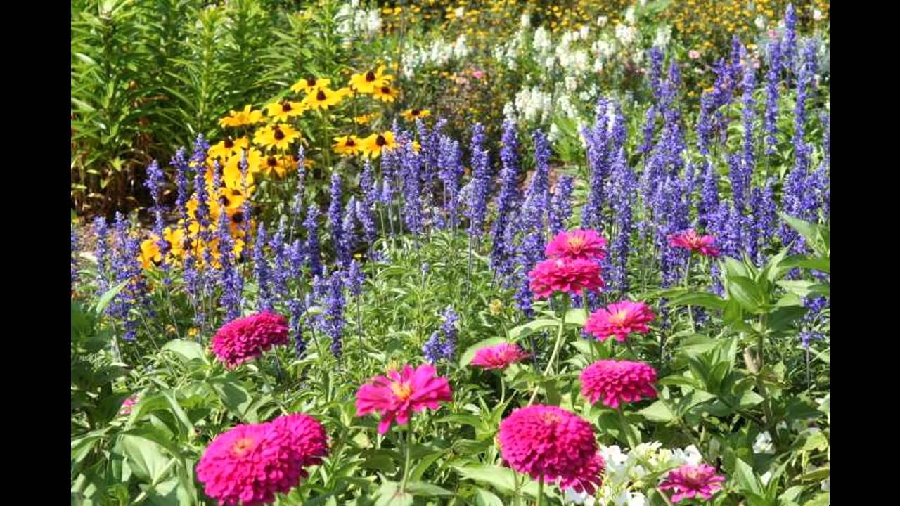 design ideas for small perennial garden