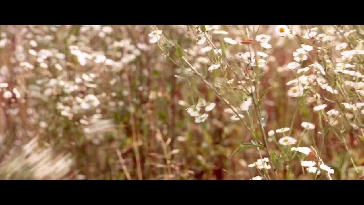 house of flying daggers scene - jin picking flowers for xiao mei