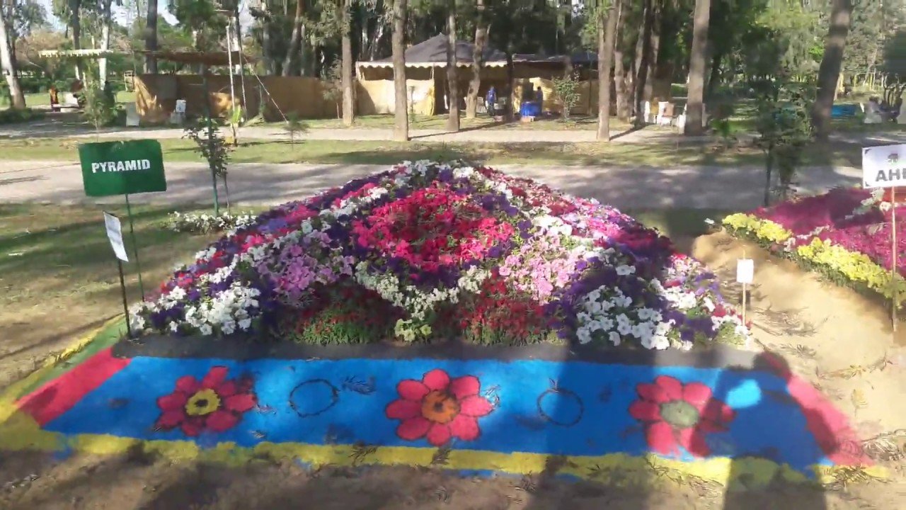 flower exhibition at rose and jasmine garden islamabad april 2019