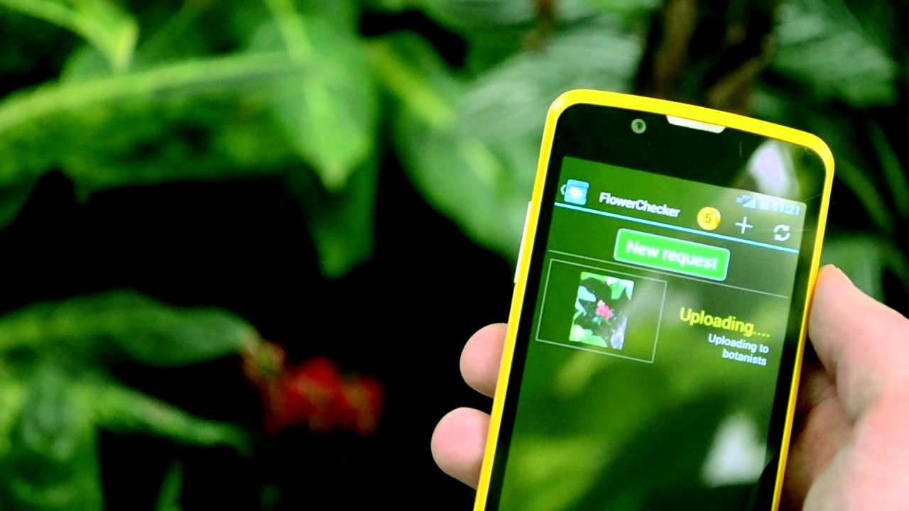 10 top gardening apps to download now – best gardening apps