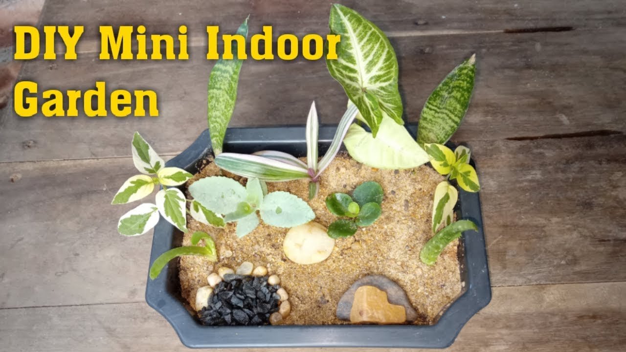 diy mini indoor herb garden : how to make mini indoor garden