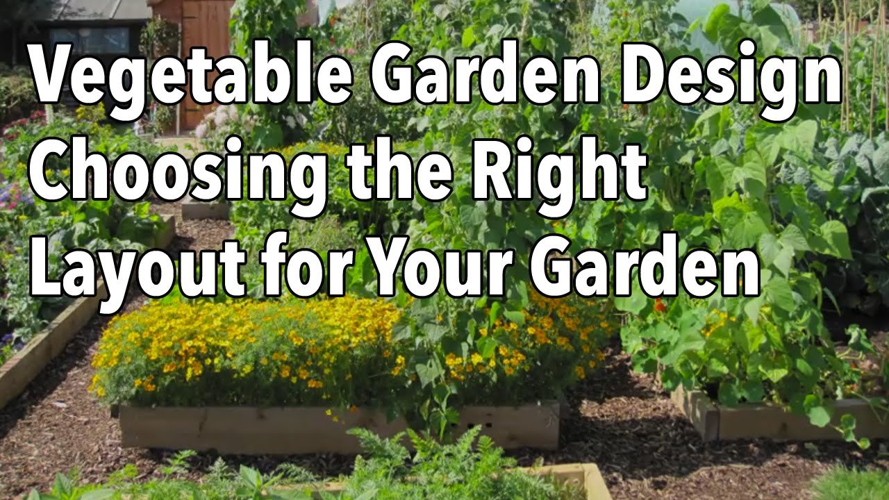 how to plan a vegetable garden: design your best garden layout | the