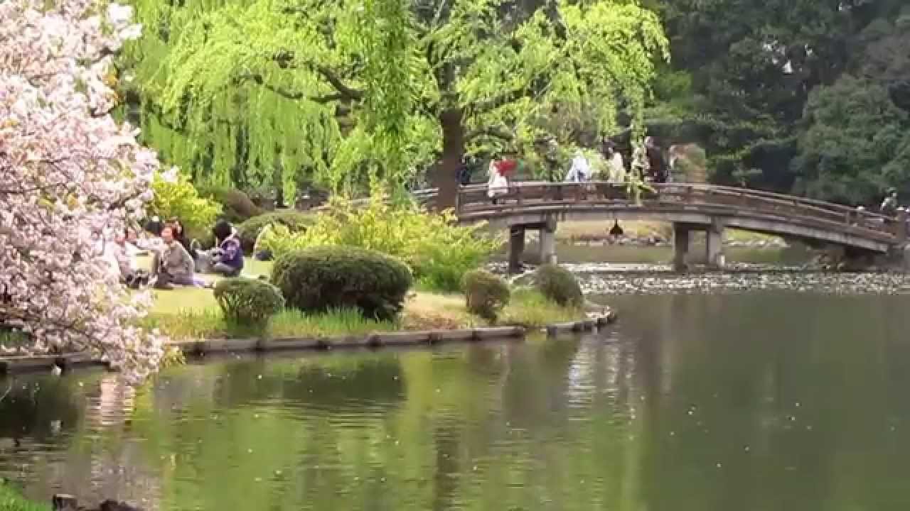 shinjuku gyoen - japanese park, tokyo ● 新宿御苑