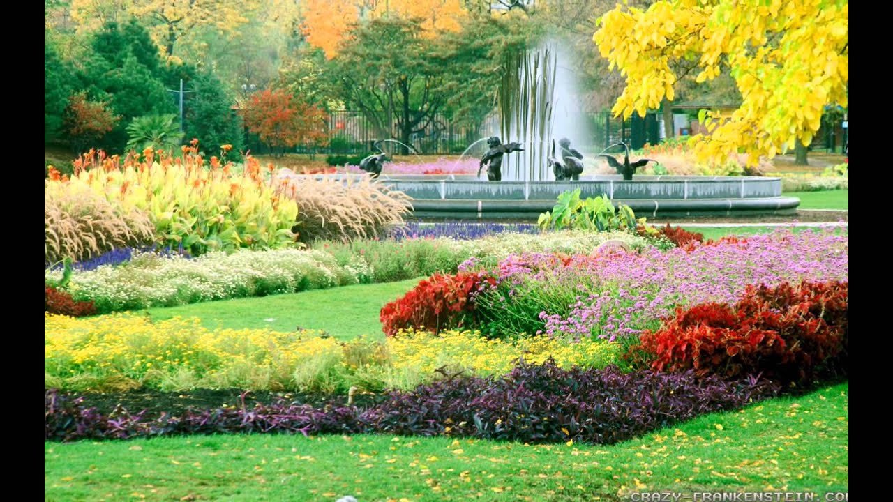 flower garden in india