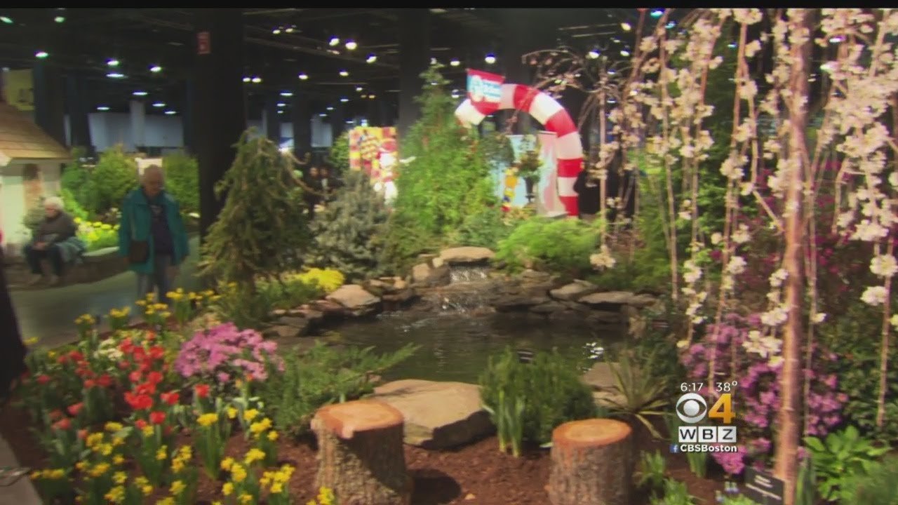 spring arrives at boston flower and garden show