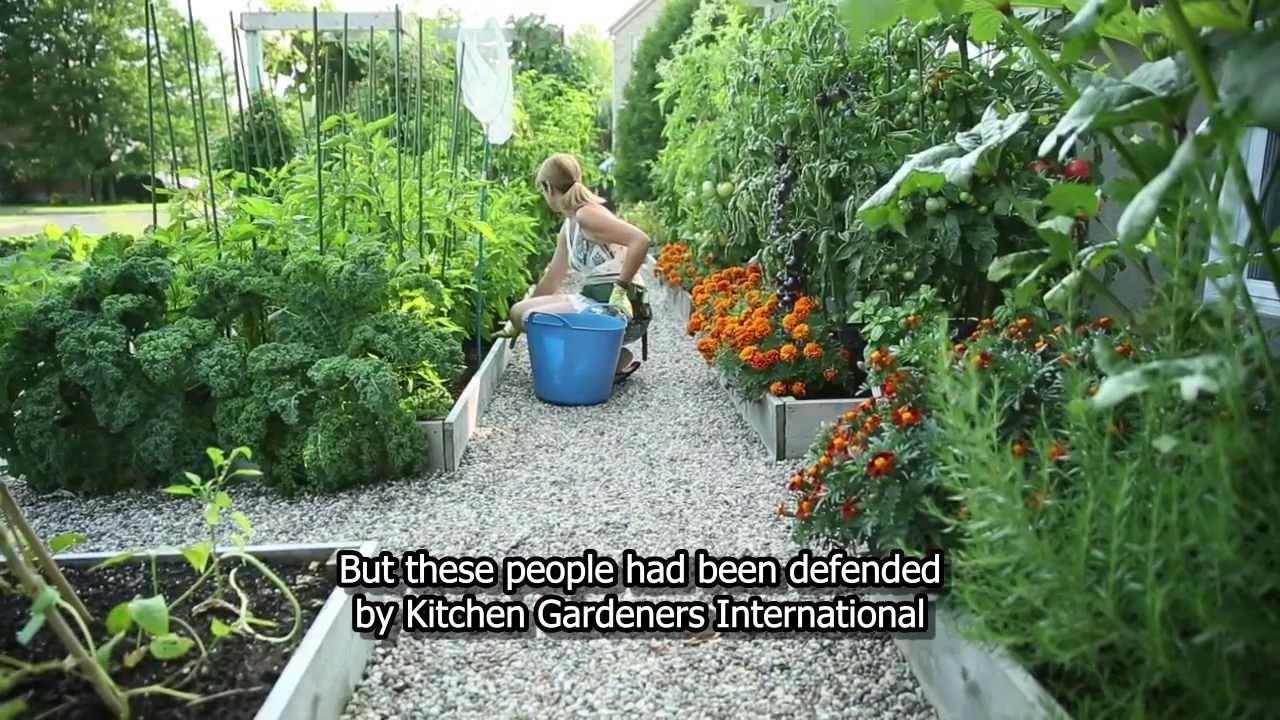 drummondville's front yard vegetable garden - youtube