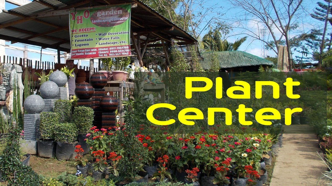 garden center - flower shop - decorative plants - philippines