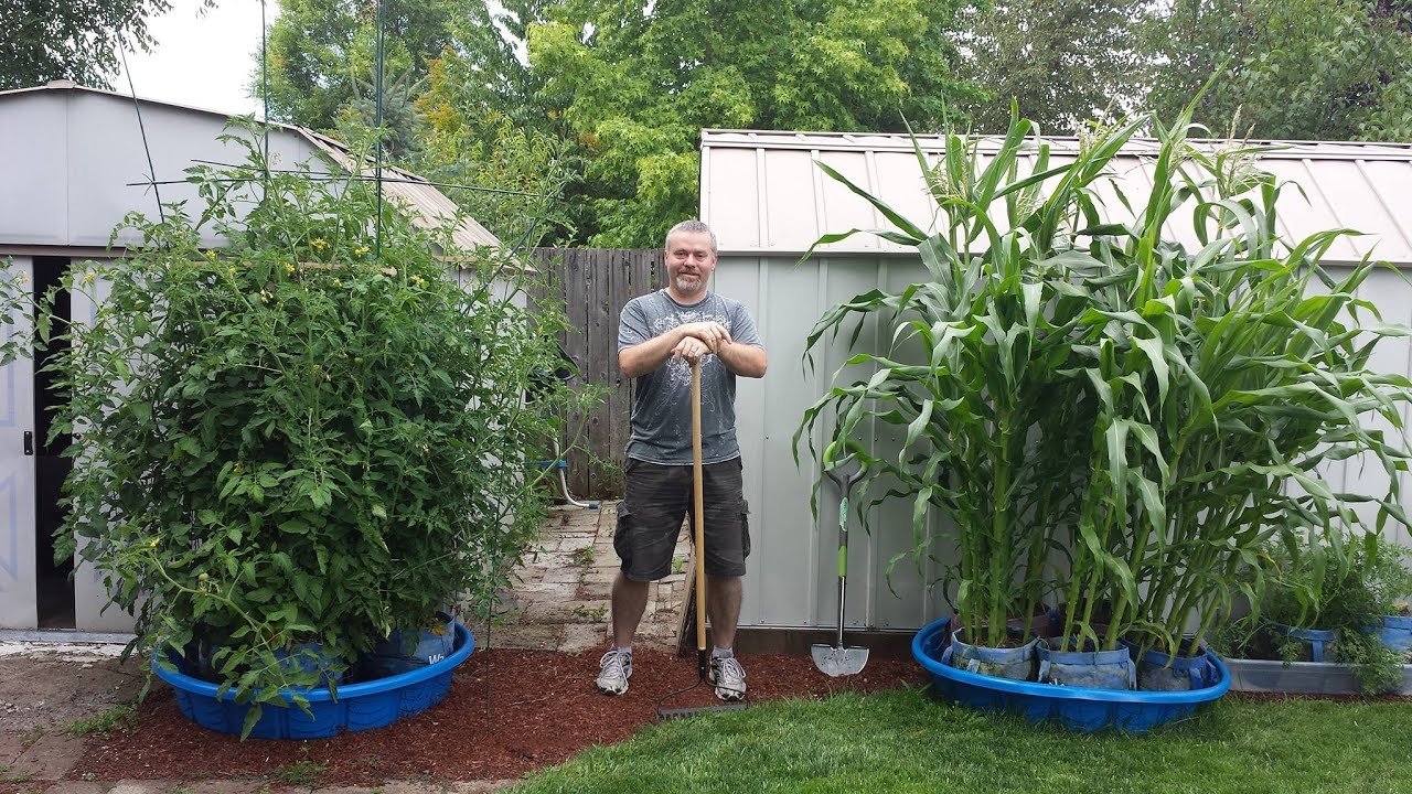 creative ways to start a garden using kiddie pools * my stay at home