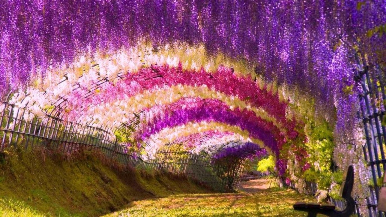 top 10 punto medio noticias | garden background hd photo download