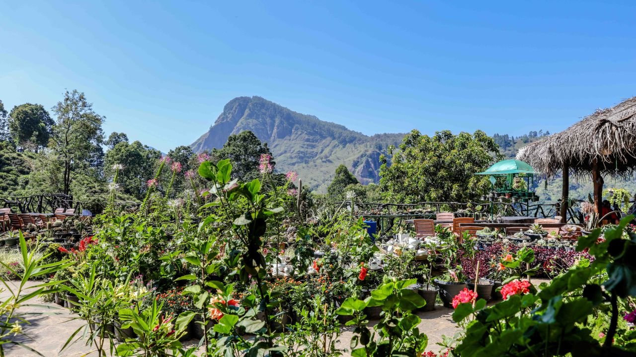 ella flower garden resort (ella) • holidaycheck (sri lanka